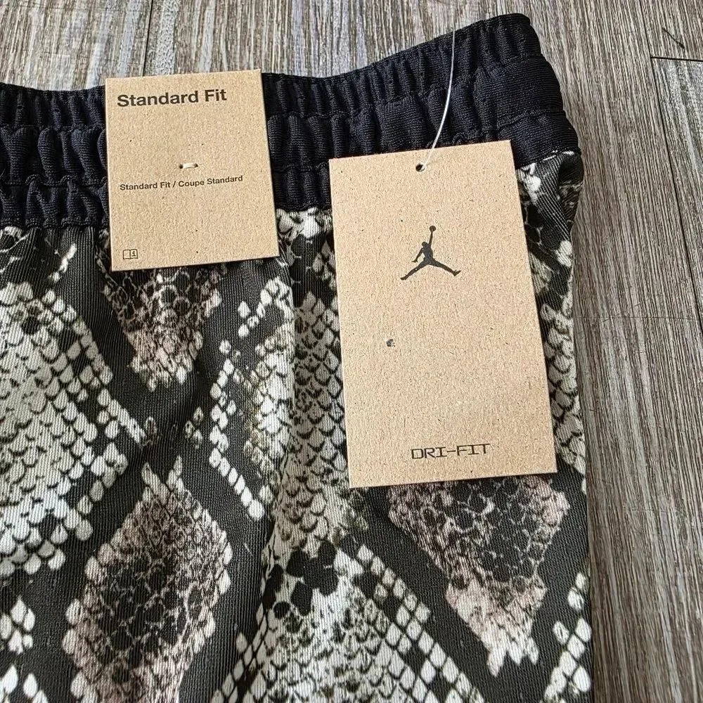 Jordan nike air